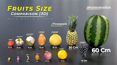 20cm size comparison